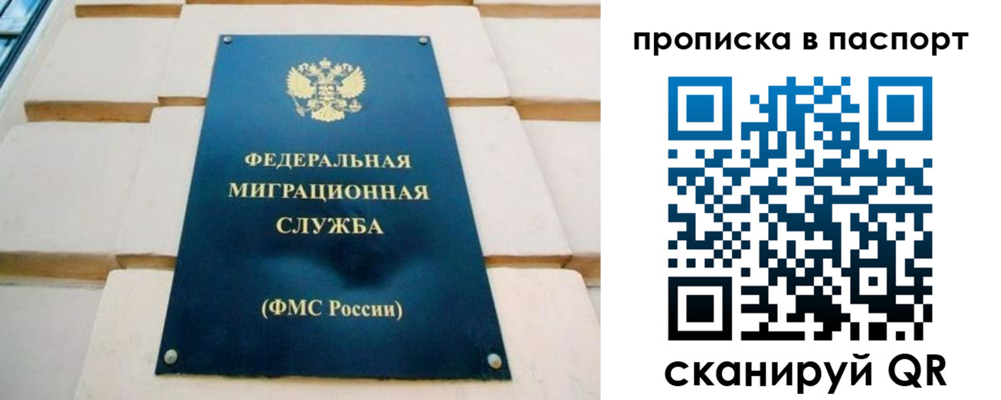 временная регистрация гарантия в Липецке